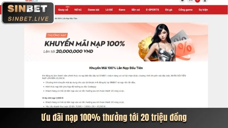Biểu đồ phân tích hiệu suất trang web 68wim apk